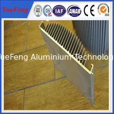 anodized aluminum extrusion heatsink, 6000 aluminum alloy aluminium amplifier heat sink