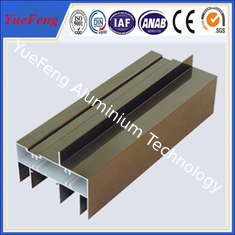 Double glass fashion design french aluminum doors and windows