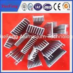 China 6061/6063 Aluminium heat sink supplier in China/anodized aluminium extruded for heatsink supplier